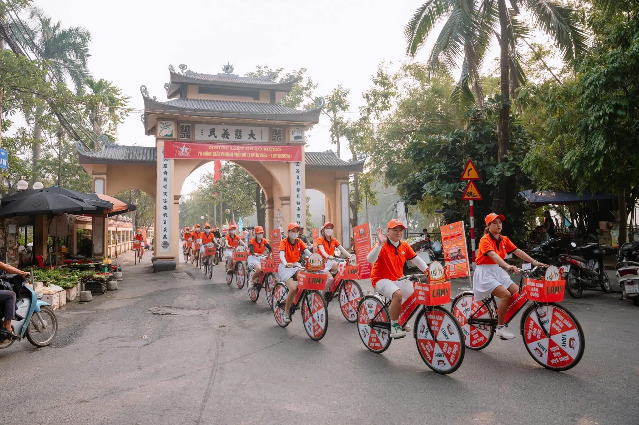 Sâm Hàn Quốc Lamy cho người Việt